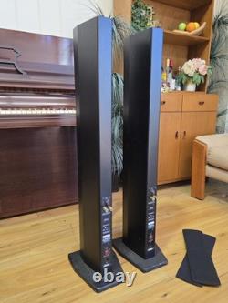 Accusound ES100 2-Way Stereo Speakers 100W 8 Ohm HIFI Tower Speaker GOSFORD