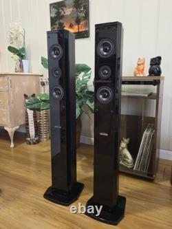 Accusound ES80 2-Way Stereo Speakers 100W 8 Ohm HIFI Tower Speaker GOSFORD