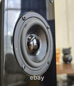 Accusound ES80 2-Way Stereo Speakers 100W 8 Ohm HIFI Tower Speaker GOSFORD