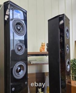 Accusound ES80 2-Way Stereo Speakers 100W 8 Ohm HIFI Tower Speaker GOSFORD