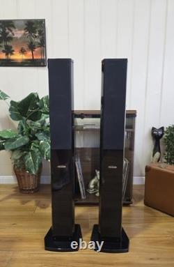 Accusound ES80 2-Way Stereo Speakers 100W 8 Ohm HIFI Tower Speaker GOSFORD