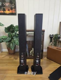 Accusound ES80 2-Way Stereo Speakers 100W 8 Ohm HIFI Tower Speaker GOSFORD