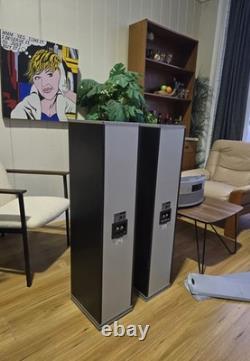 Accusound SA-1000 3-Way Stereo Speakers 100W 8 Ohm HIFI Floor Speaker GOSFORD