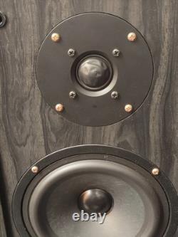 Acoustic Solutions AV120 3-Way 130 Watts Floor-Standing Speakers Hi-Fi Sound