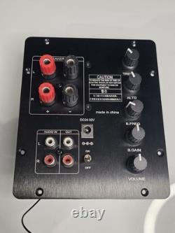 Amplifier Board HIFI Subwoofer Speaker Audio Stereo Retrofit Passive Active #6