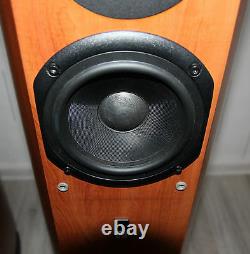 Audio Pro Avantek Nine speakers. Great sound. Hi fi