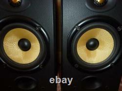 B&W DM601 Audiophile Speakers-Superb Sound