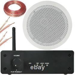 Bathroom Wi Fi Ceiling Speaker Kit Wireless Amp & 1x Dual Tweeter Stereo Sound