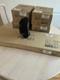 Bower And Wilkinson M1 Surround Sound Speaker System
