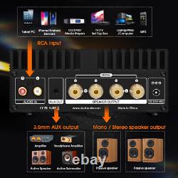 Douk Audio A100 HIFI 300W Mono/Stereo Power Amplifier with 48V5A Power Adapter