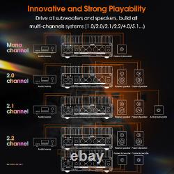 Douk Audio A100 HIFI 300W Mono/Stereo Power Amplifier with 48V5A Power Adapter