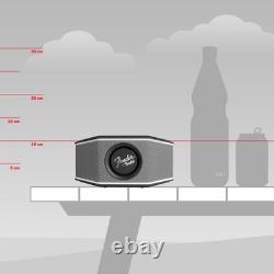 Fender x Teufel ROCKSTER GO 2 Portable Bluetooth Speaker Powerful Sound Rugged