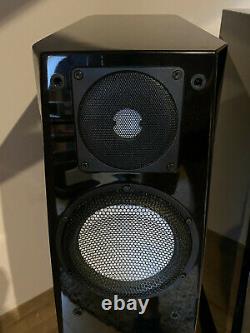 Gemme Audio Katana V. 1 speakers Accuton drivers in unique VFlex cabinet