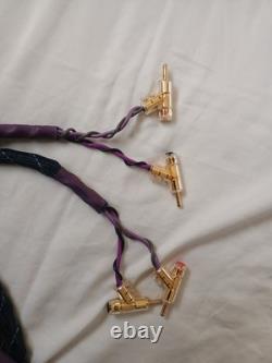 IOXS 6002 7 Gamma Geometry Flagship Speaker Cable 3.9 M Pair + Furutech Plugs