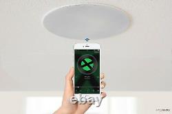 Lithe Audio Bluetooth 6.5 Ceiling Speaker Alexa Echo & Google Home Compatible