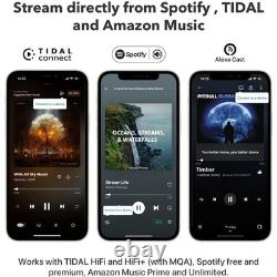 WiiM Mini Music Streamer for Stereo Systems with AirPlay 2 & Hi-Res Audio