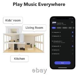 WiiM Mini Music Streamer for Stereo Systems with AirPlay 2 & Hi-Res Audio