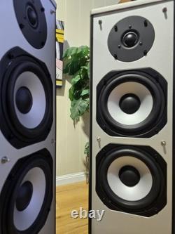 Accusound SA-1000 Haut-parleurs stéréo 3 voies 100W 8 Ohm HIFI haut-parleur de sol GOSFORD