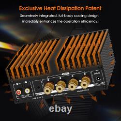 Amplificateur de puissance Douk Audio A100 HIFI 300W Mono/Stéréo avec adaptateur secteur 48V5A