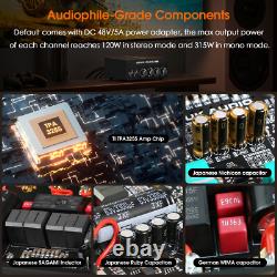 Amplificateur de puissance numérique HIFI TPA3255 Mono/Stéréo 300W pour subwoofer audio domestique