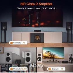 Amplificateur de puissance numérique Mini TPA3255 HIFI 300W Classe D pour haut-parleurs stéréo domestiques