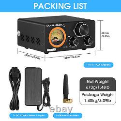 Amplificateur numérique Douk Audio ST-01 PLUS HIFI TPA3255 avec Bluetooth / entrée PHONO