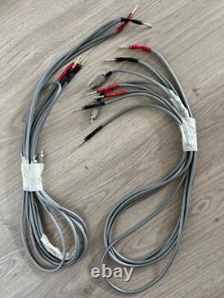 Audio Note SPx bi-câblé, c'est une paire stéréo de 1 mètre