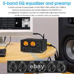 Égaliseur 5 bandes EQ5 PRO de Douk Audio avec récepteur Bluetooth pour enceinte/amplificateur
