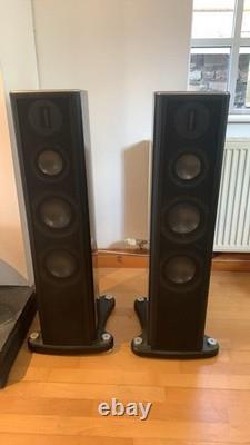 Enceintes Monitor Audio Platinum PL300 paire en palissandre Santos