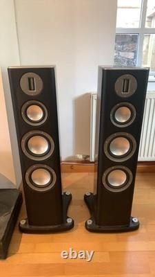 Enceintes Monitor Audio Platinum PL300 paire en palissandre Santos