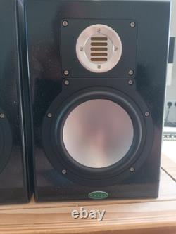 Enceintes de monitoring actives professionnelles Unity Audio The Rock conçues sur mesure