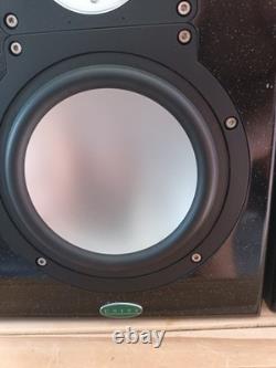 Enceintes de monitoring actives professionnelles Unity Audio The Rock conçues sur mesure